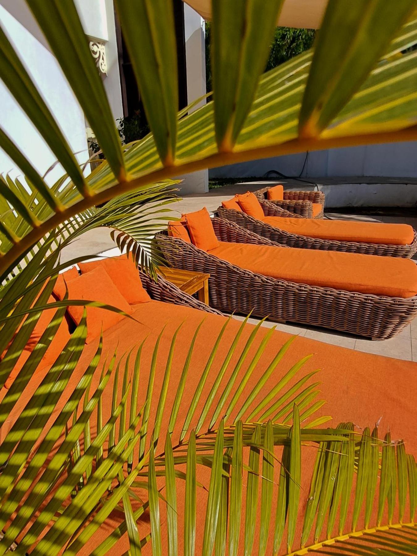 Le Nautile Beachfront Saint-Gilles-les Bains Exterior foto
