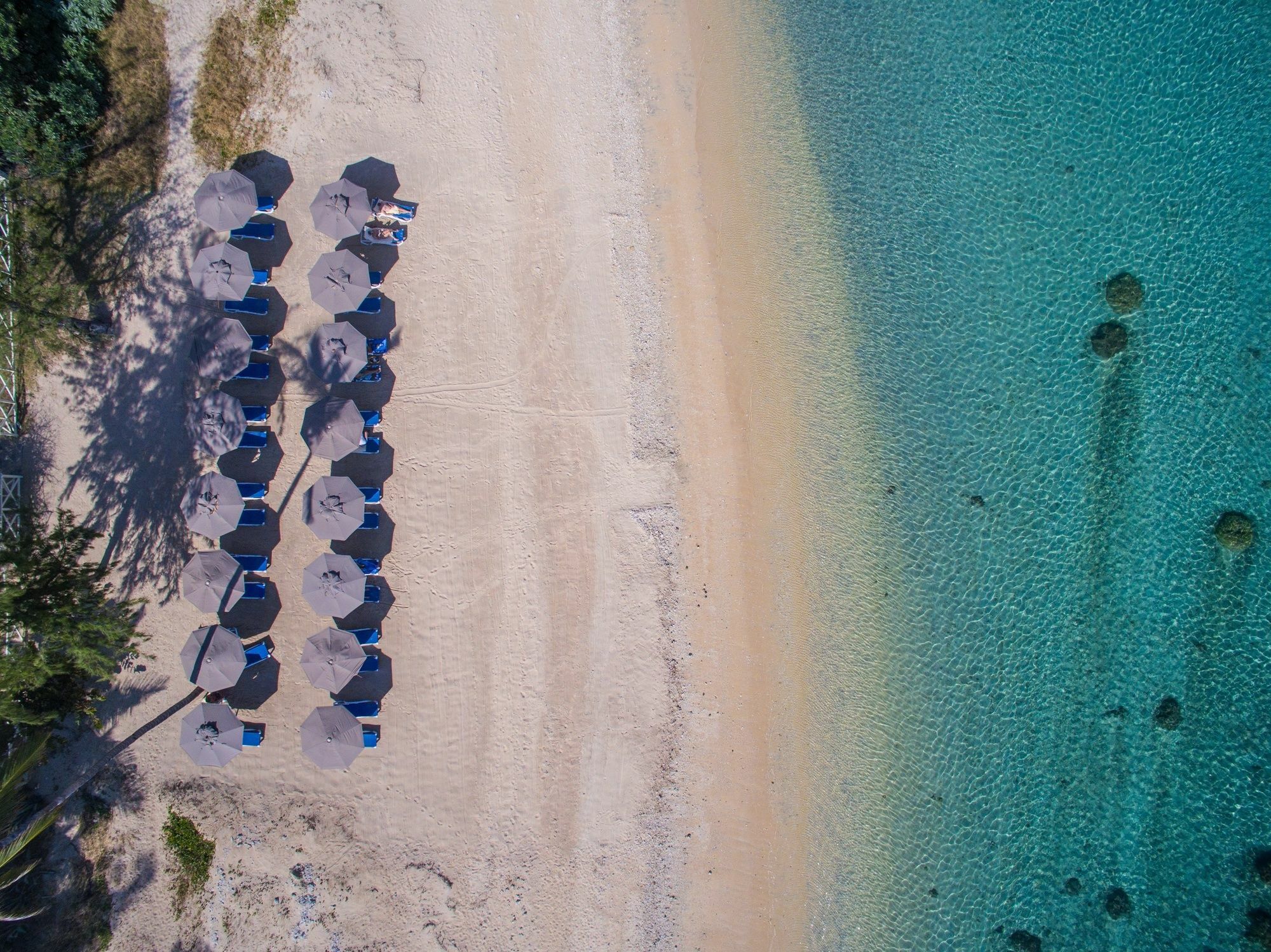 Le Nautile Beachfront Saint-Gilles-les Bains Exterior foto